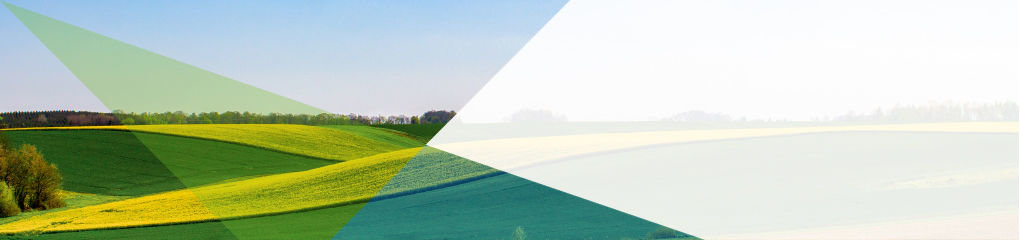 ESA home page graphic using ESA brand colour wash